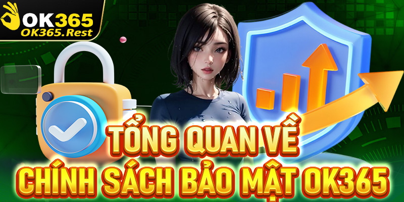 Tổng quan chung về trang chính sách bảo mật OK365