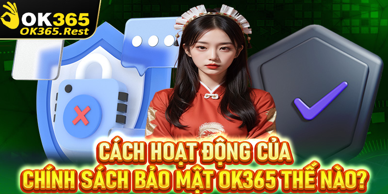 Nguyên lý hoạt động của trang chính sách bảo mật OK365 như thế nào?